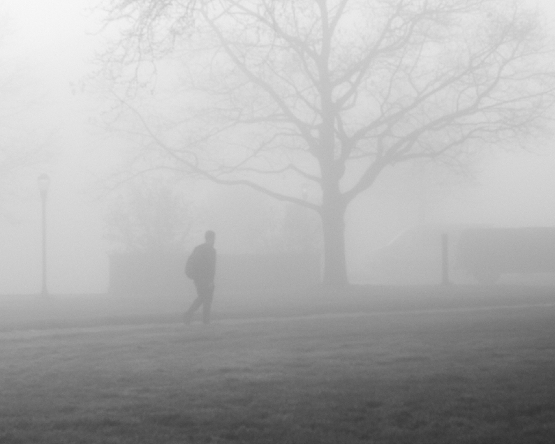 Photo: 'Fog'